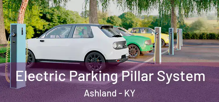 Electric Parking Pillar System Ashland - KY
