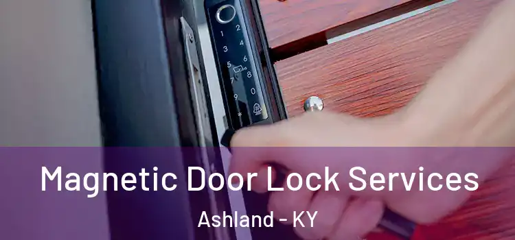 Magnetic Door Lock Services Ashland - KY